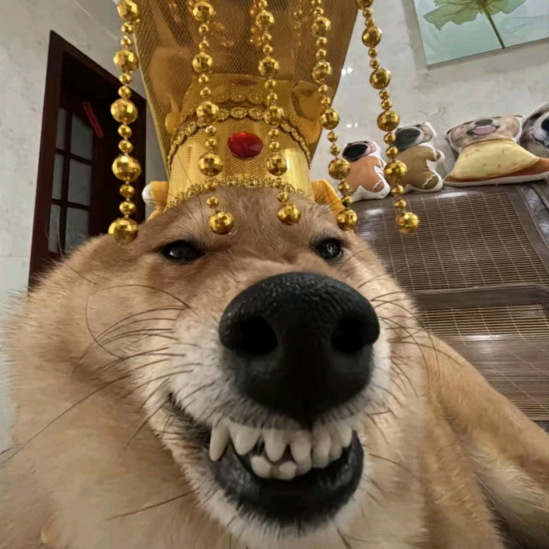 新雄风科技-⑻个字的故事6直播号