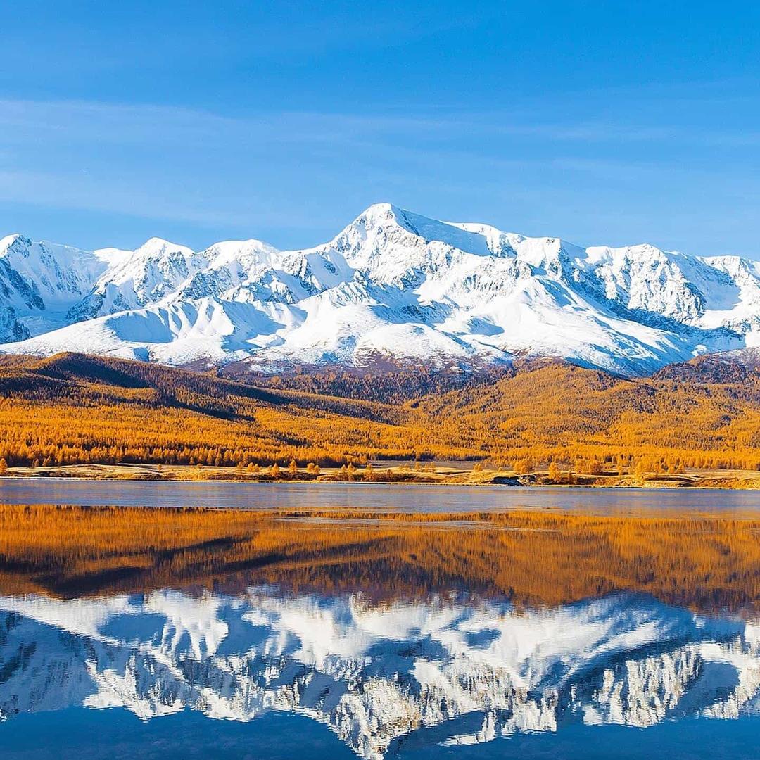 诚智电脑(龙祥路店)广州清来生活号