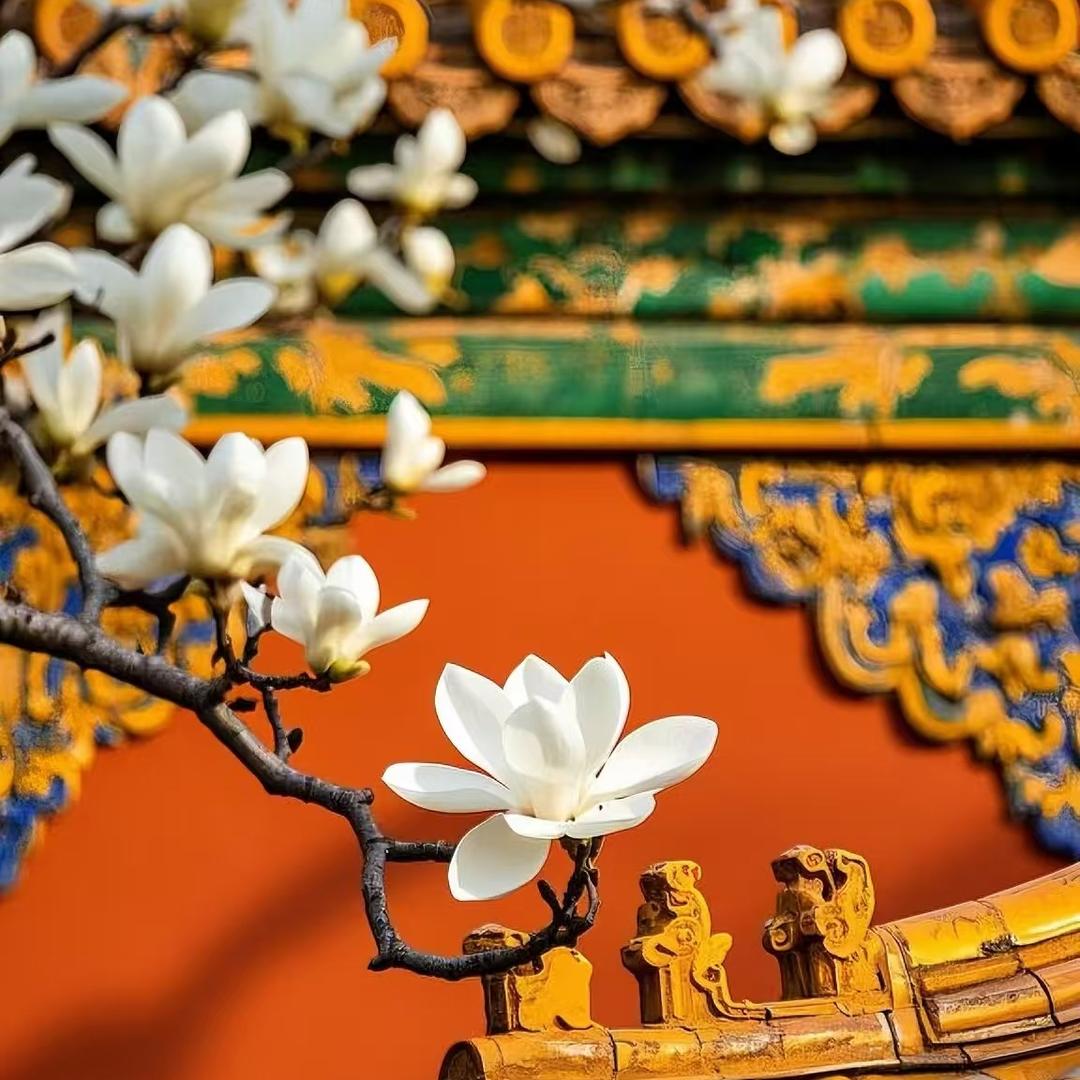 云烟文化（桂樽）