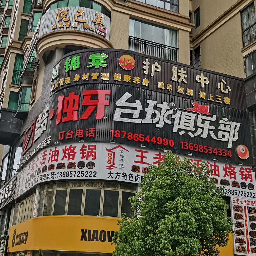 盛浩·独牙台球俱乐部