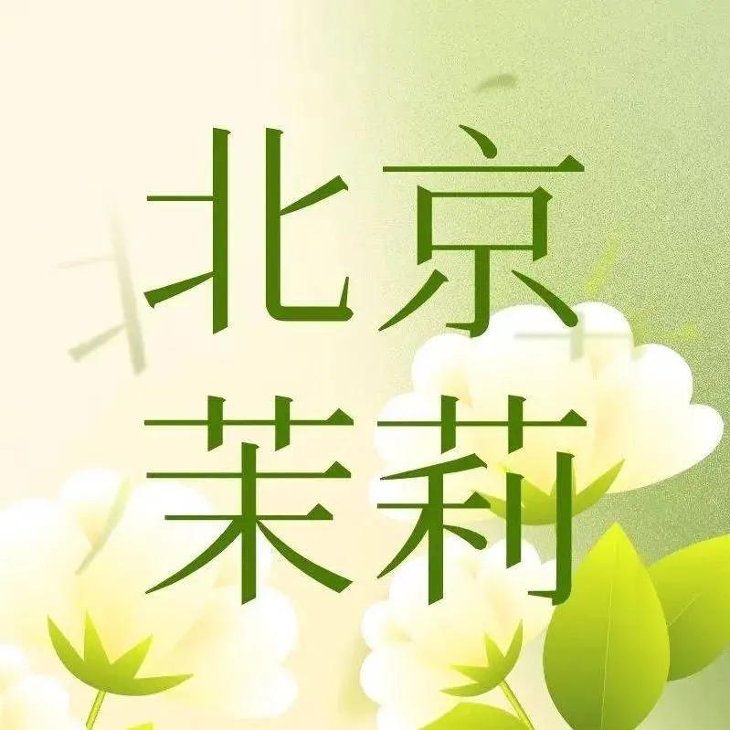 茶太良品宠粉号