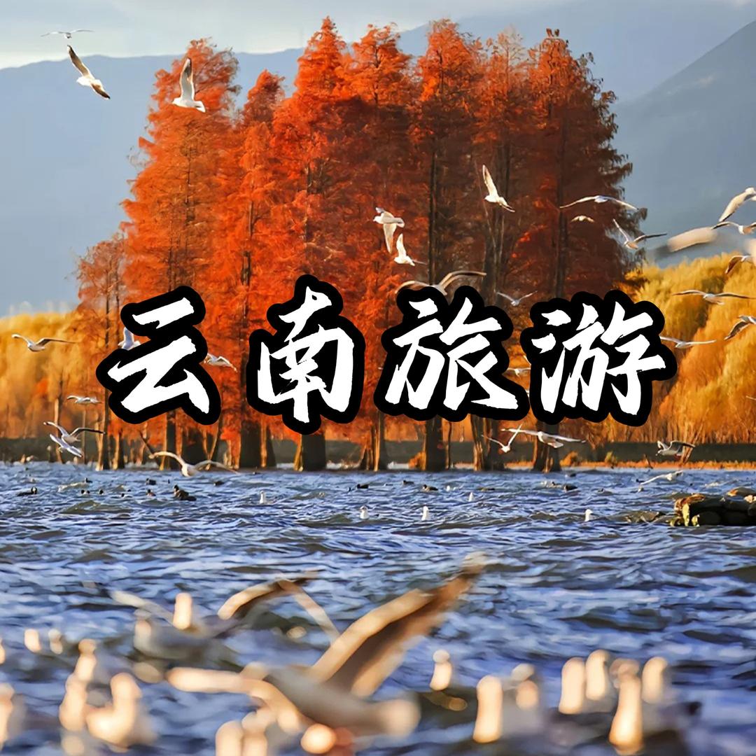 云南高端品质游（荟游小唯）