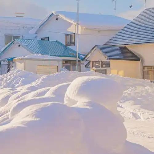 天元区哉炯寒寒直播号