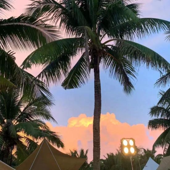 晋美运营直播2号