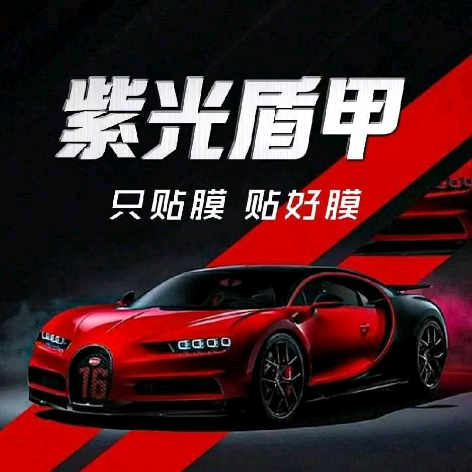 紫光盾甲车膜连锁(常平店)