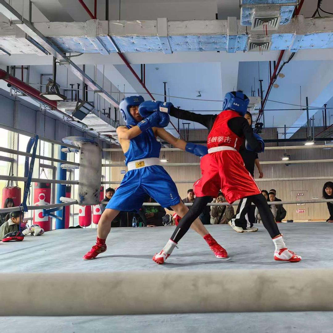 王敏拳击-上海市竞技体育后备人才培养基地
