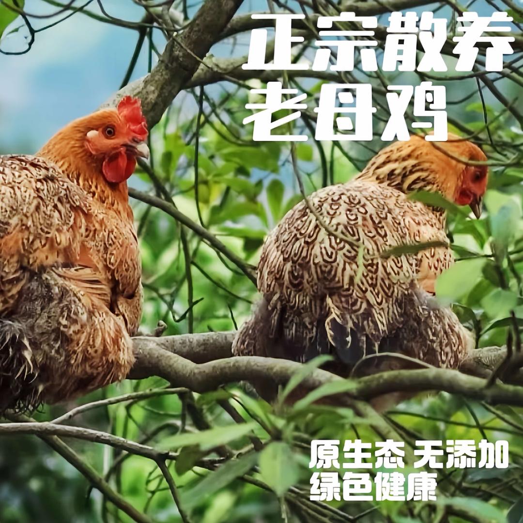 浏阳老李头土货