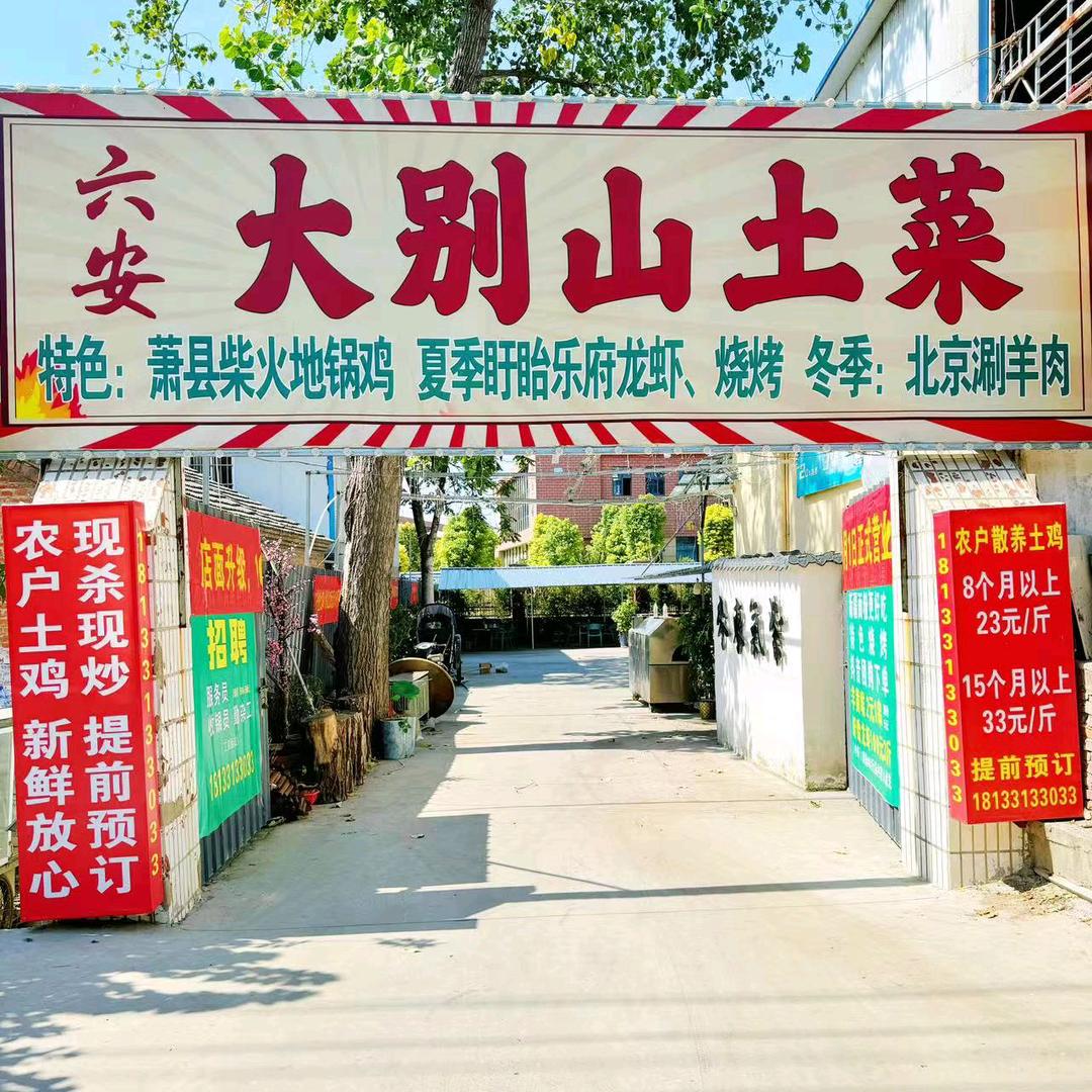 六安大别山土菜