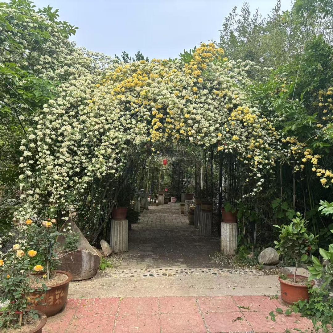 文雅轩私房菜