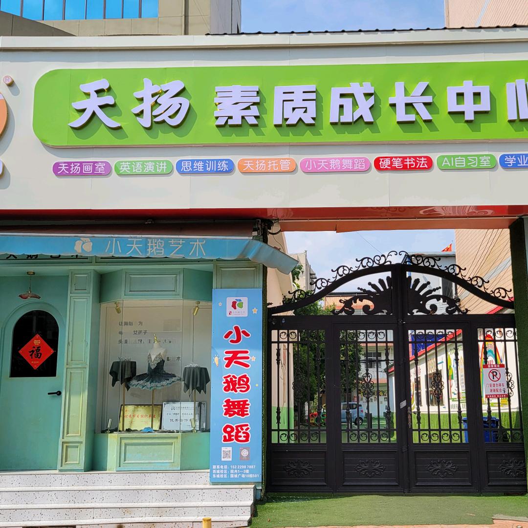 天扬画室