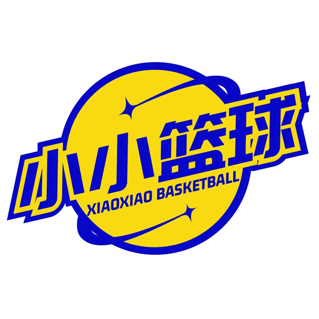 岳西县小小篮球俱乐部