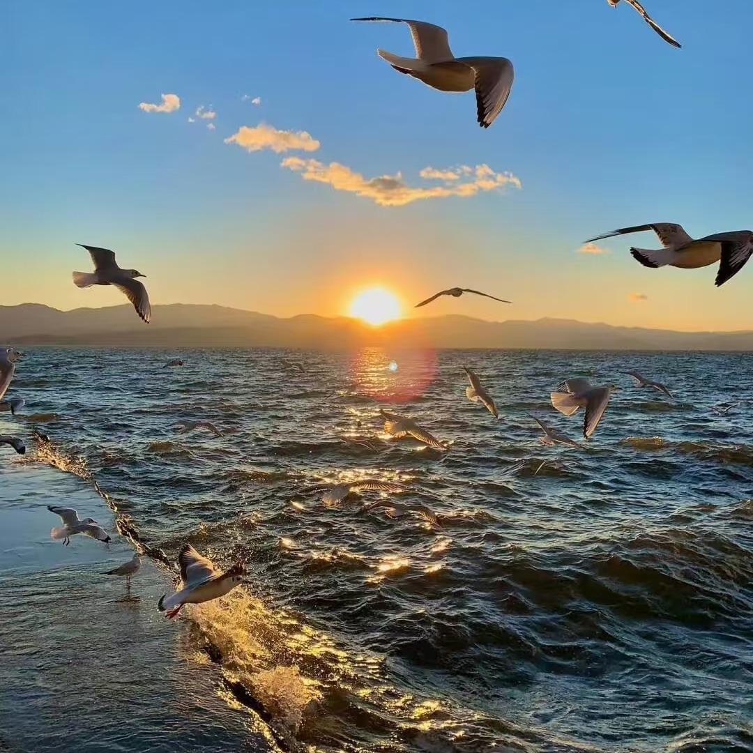 宣威目鱼希有限公司-经营号