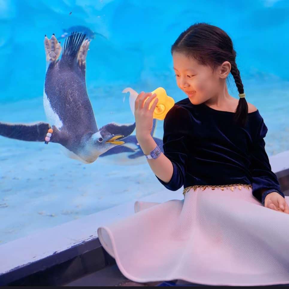 珠海长隆跟拍-青野