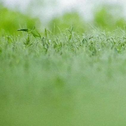 智能家电总厂直销F2直播号