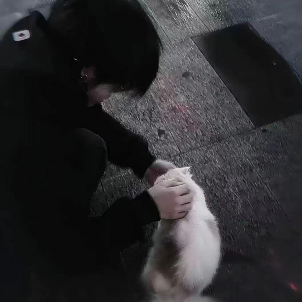 辞小雪·柠柠