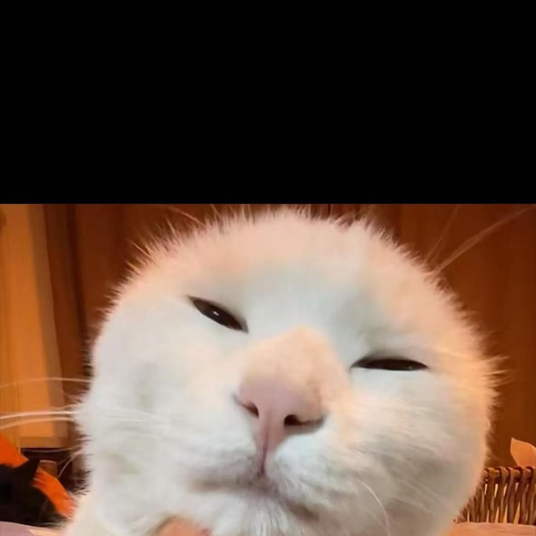 （俱乐部鸣恋生活号