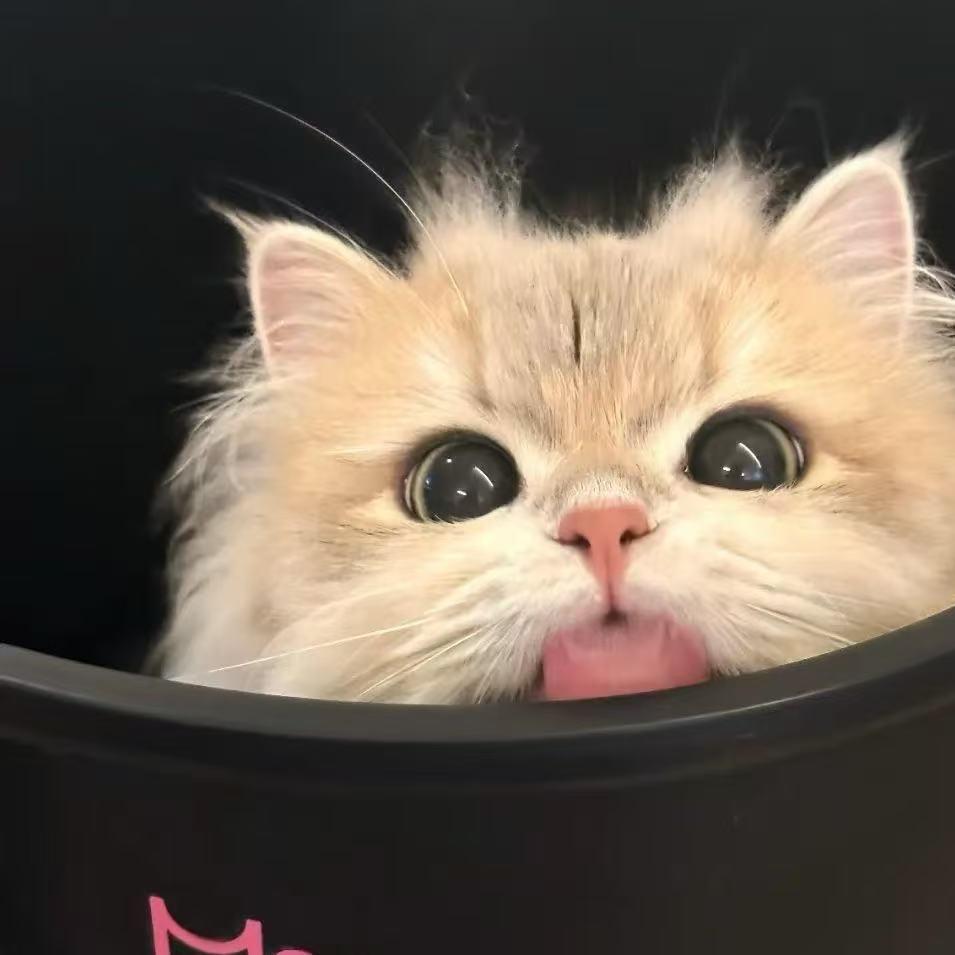 至燃爱全国直播专用宠粉号露露