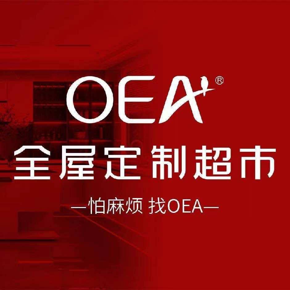 启东OEA全屋定制超市.爱格家居