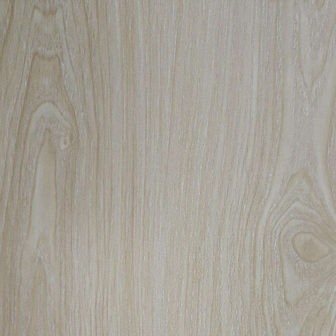 桃子（孤聚）