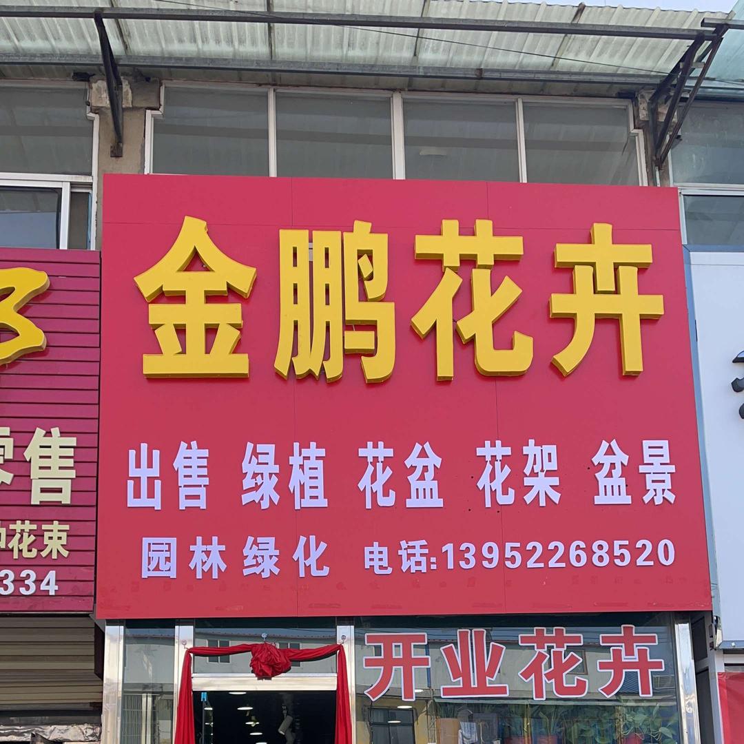 金鹏花卉