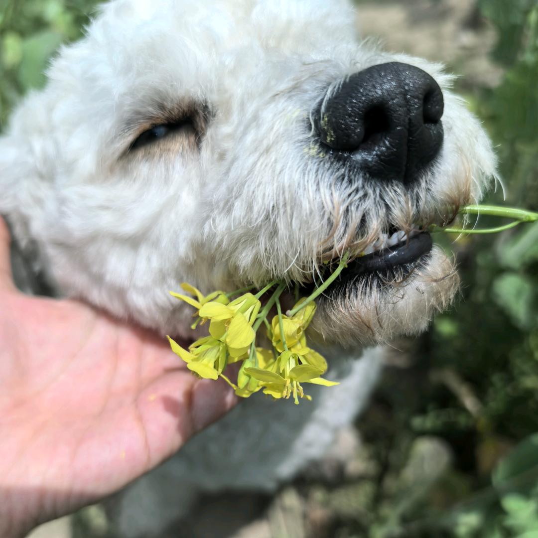 浙家民宿官方号