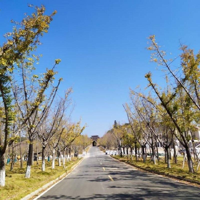 意筑笔信奢品服饰