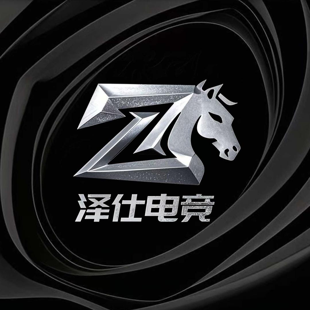 泽仕电竞