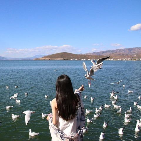 康辉众旅国际小时游记