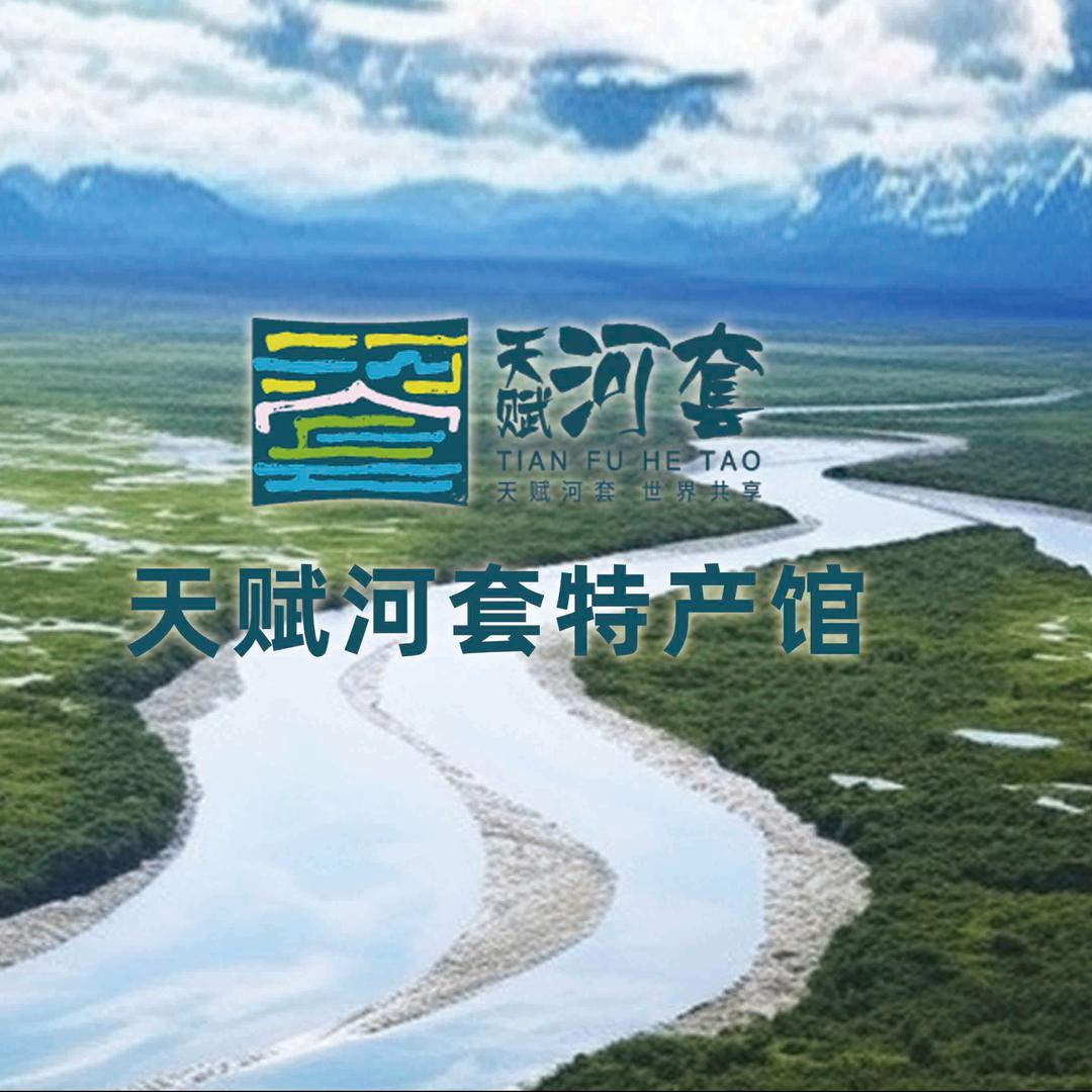 天赋河套特产馆