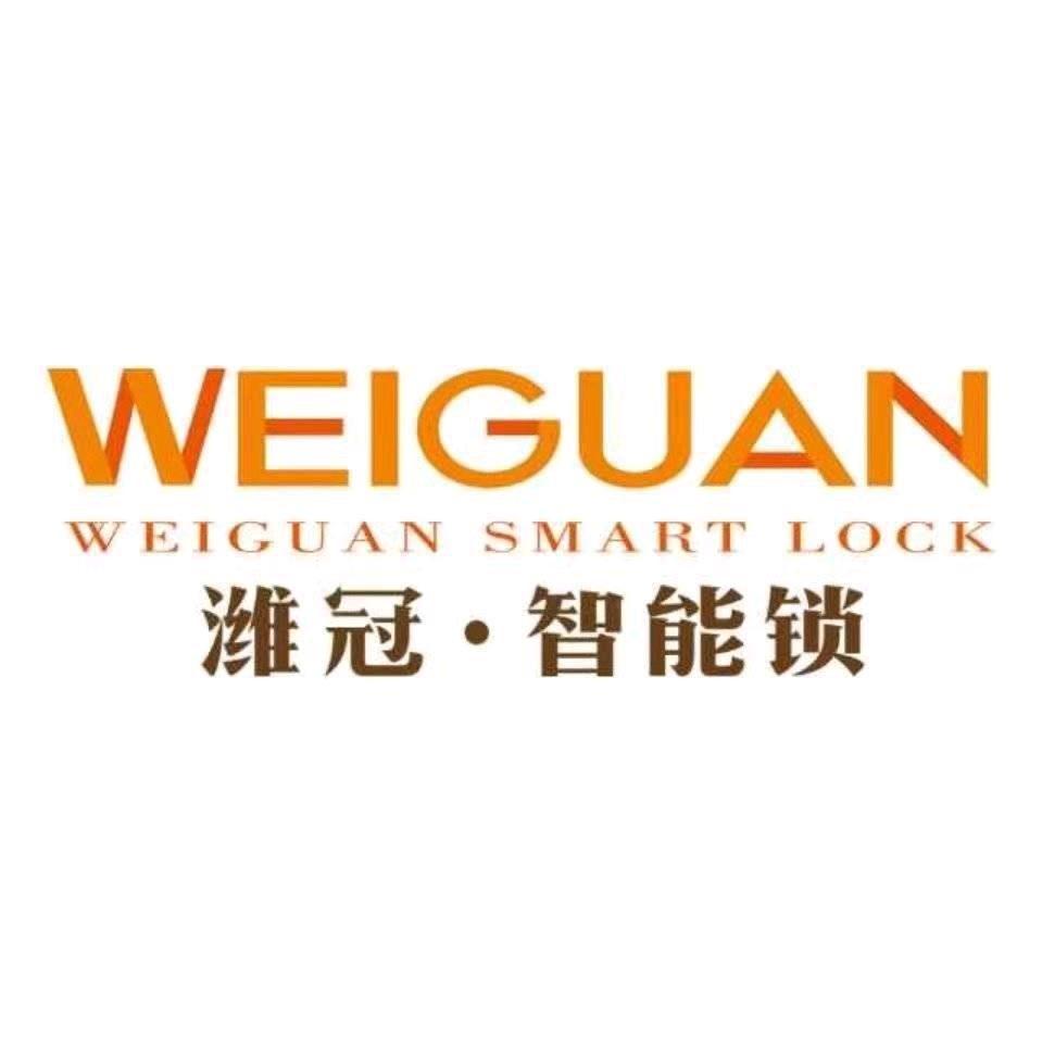 潍坊潍冠多品类智能锁