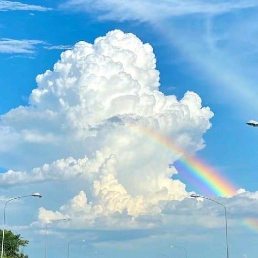 老谢五金日杂官方号