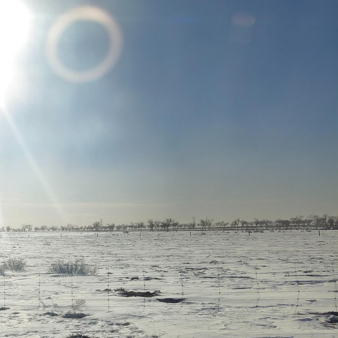 南环辉贸直播号