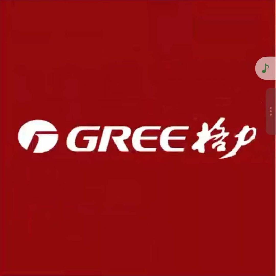 格力电器(汉阳拦江路店)专用号