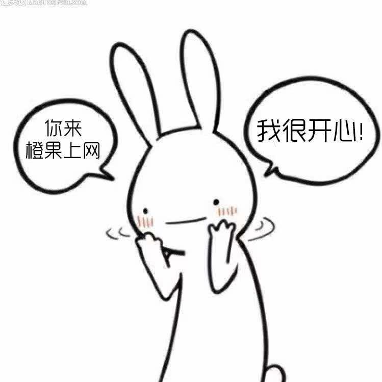 橙果小网管