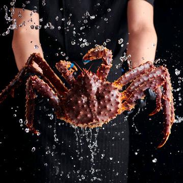 鑫云智联餐饮臻选连锁品宣中心