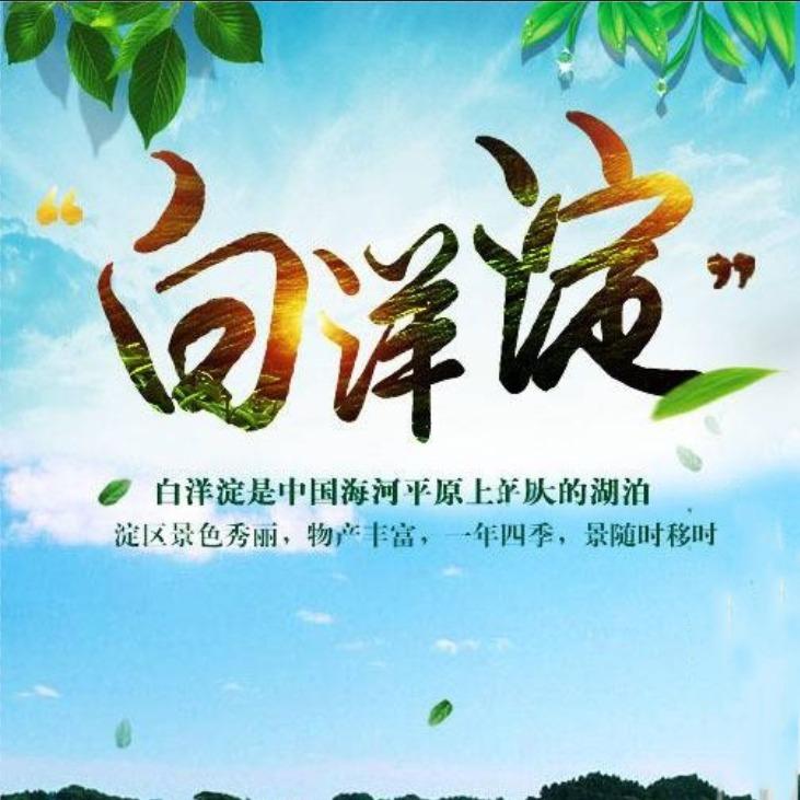 白洋淀邓大超