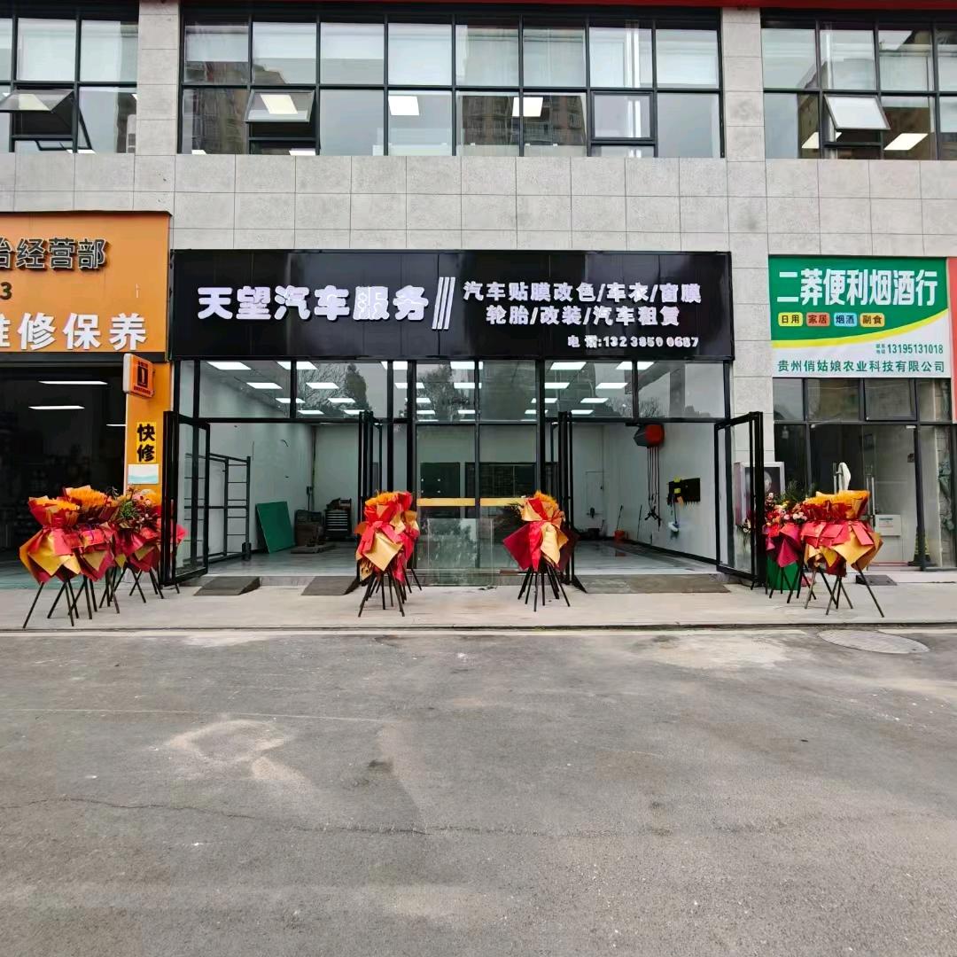天望车服（汽车租赁）