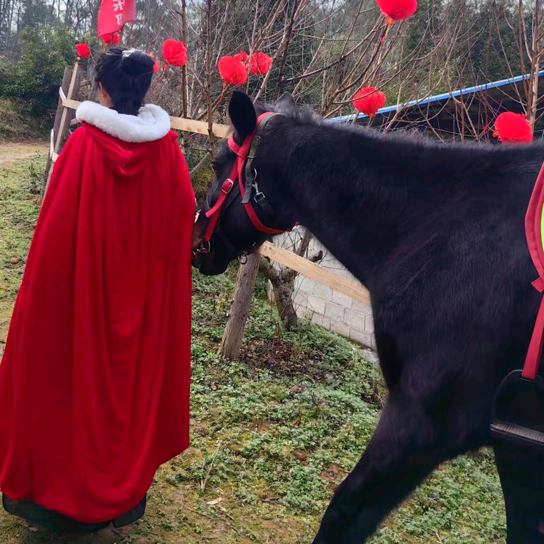 易骑马术，芳姐