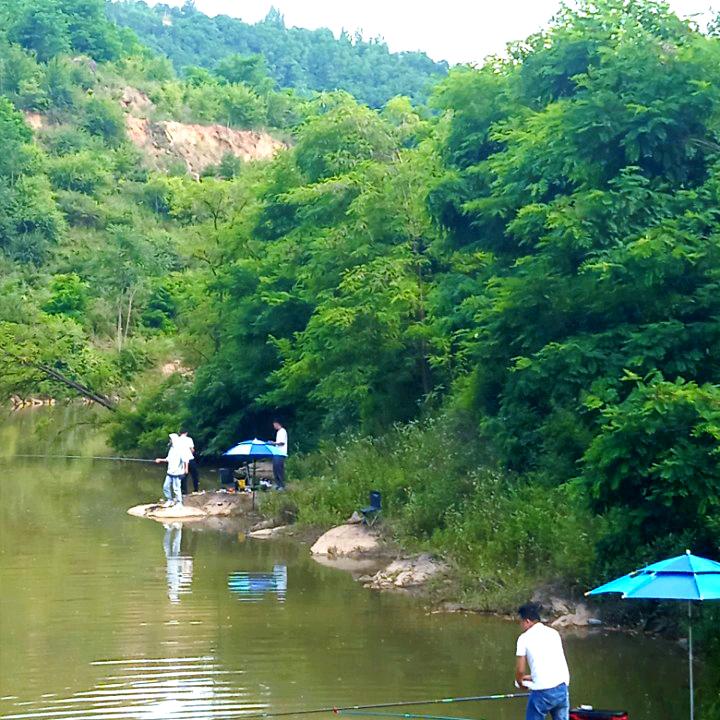 大清峪生态宛官方号