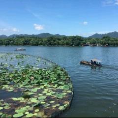 小王直播号（宁启）