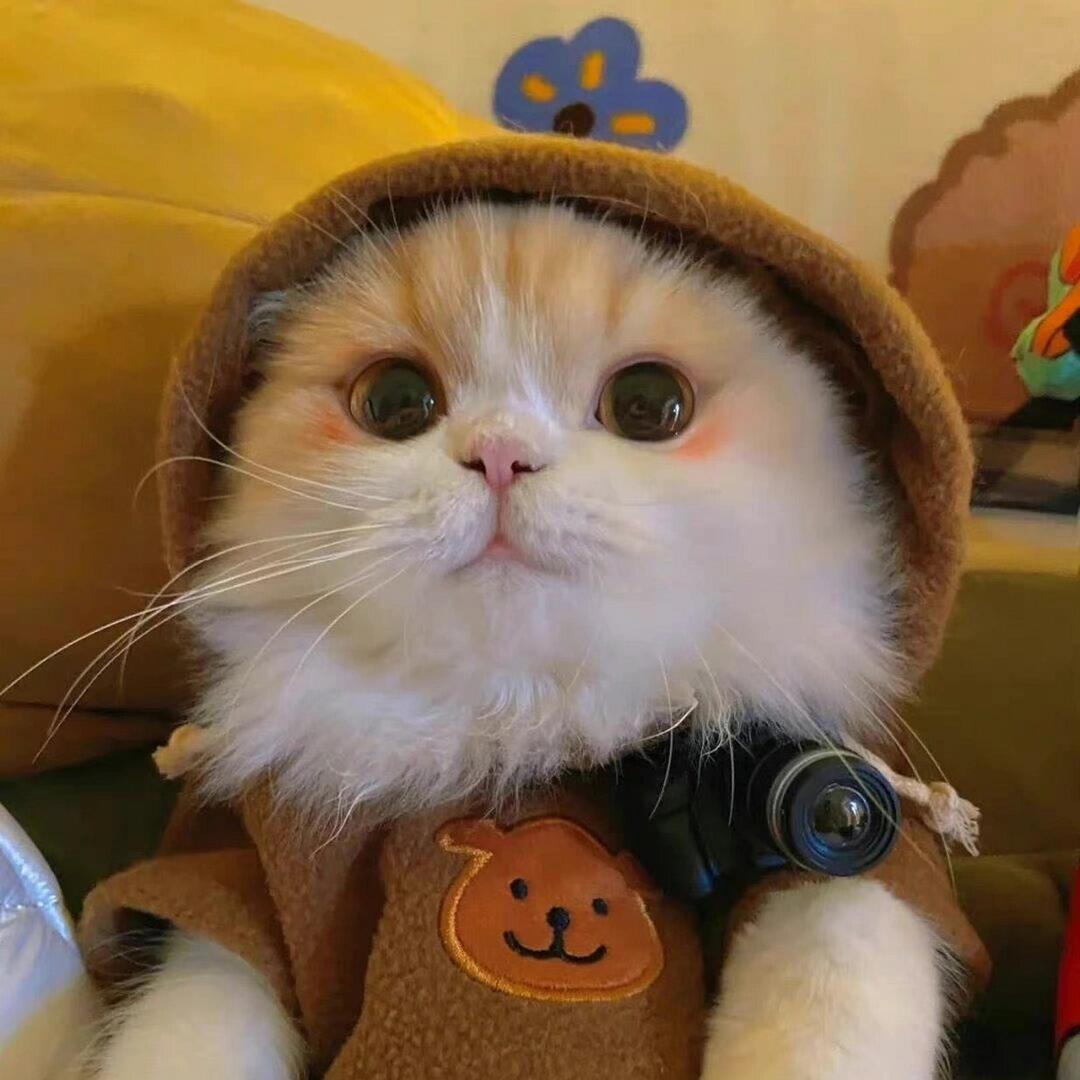 刚刚百货刚刚经营号