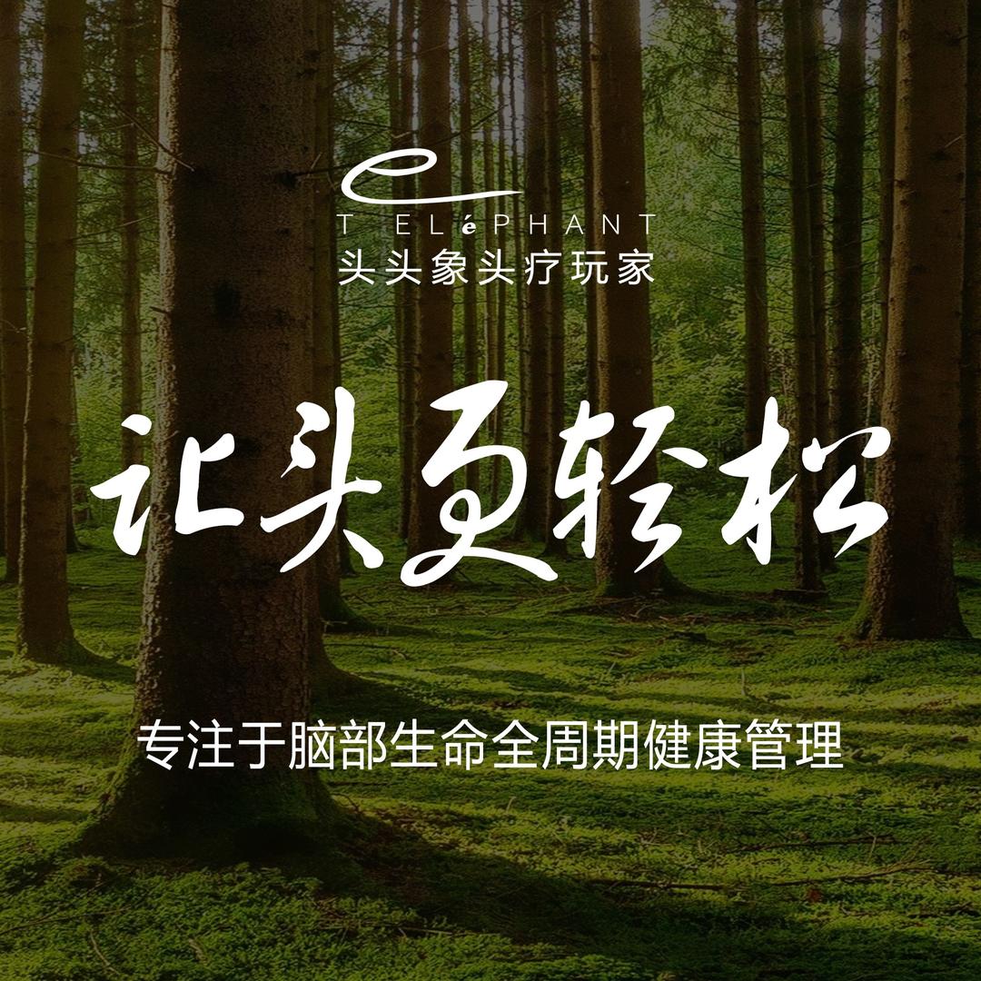 头头象头疗玩家(安亭中央公园店)