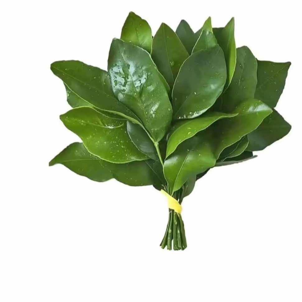 至燃爱(茶马街店)小王