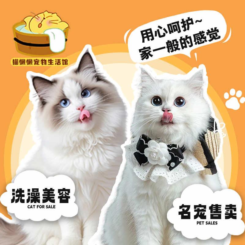 猫懒懒宠物生活馆