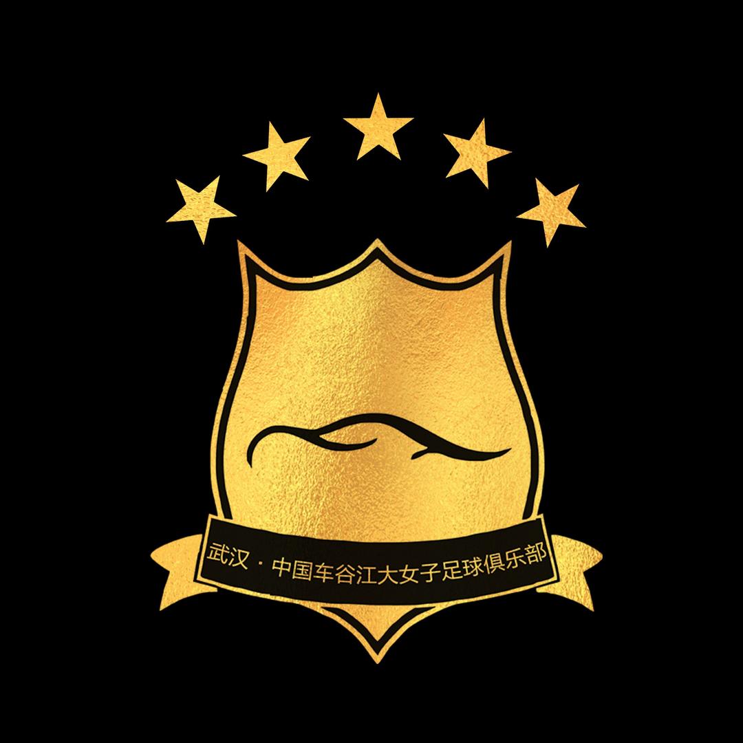 武汉车谷江大女足