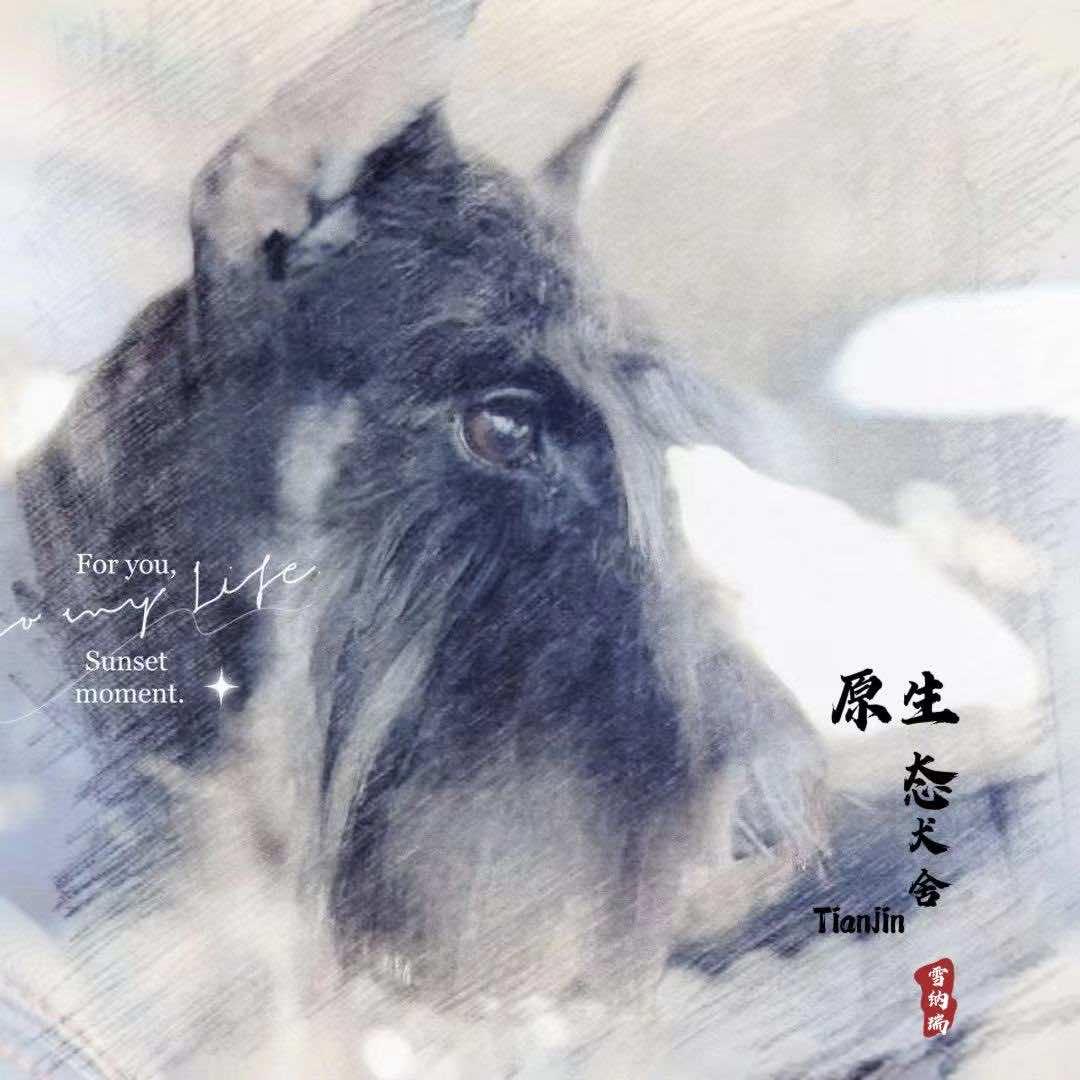 宠满希旺轻奢宠物会馆官方号