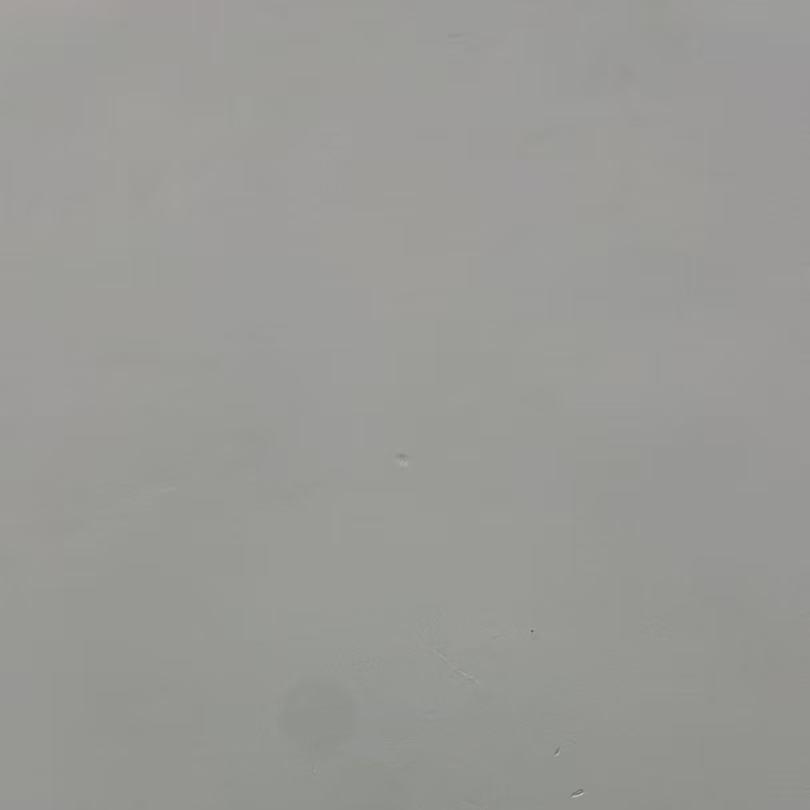 海山海直播号