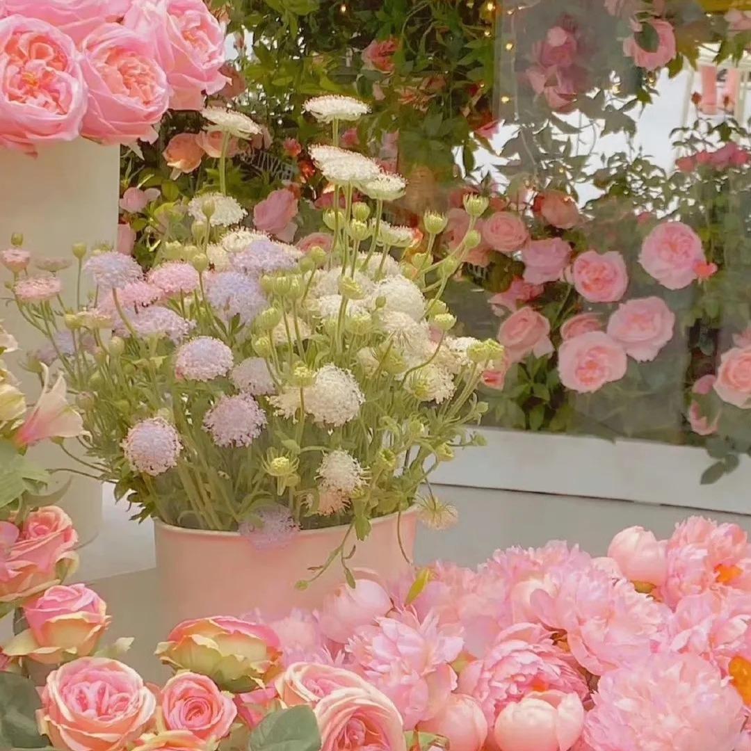 宜尚坊港货(都会雅苑店)渔芯68直播号