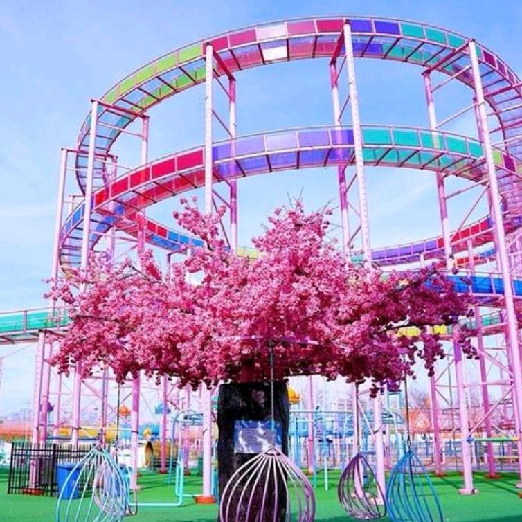 悟空部落无动力·小王