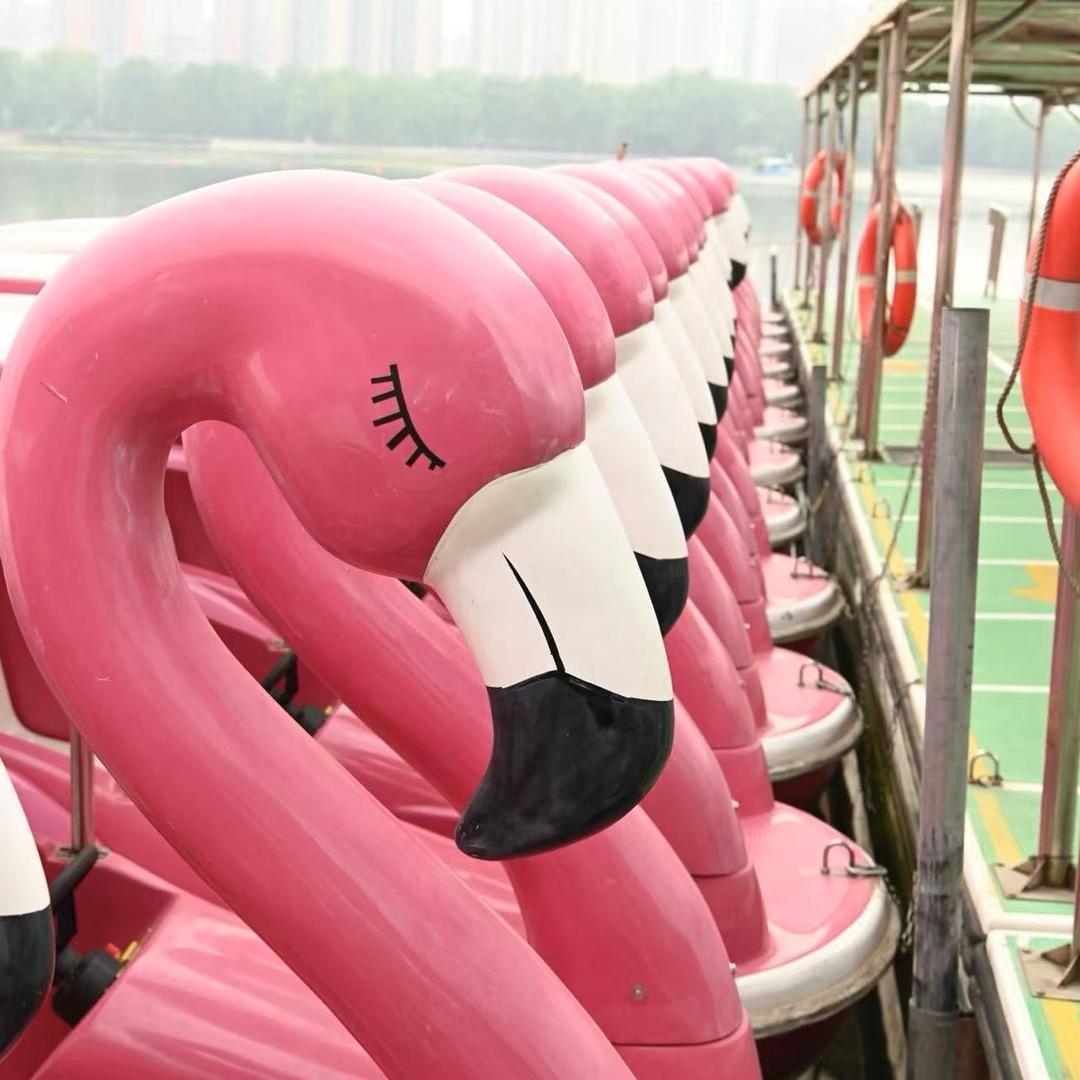 莲花池游船码头